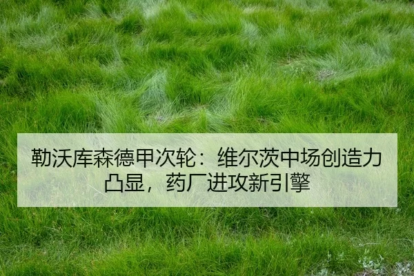 lei-wo-ku-sen-de-jia-ci-lun-wei-er-ci-zhong-chang-chuang-zao-li-tu-xian-yao-chang-jin-gong-xin-yin-qing-3-240.jpg