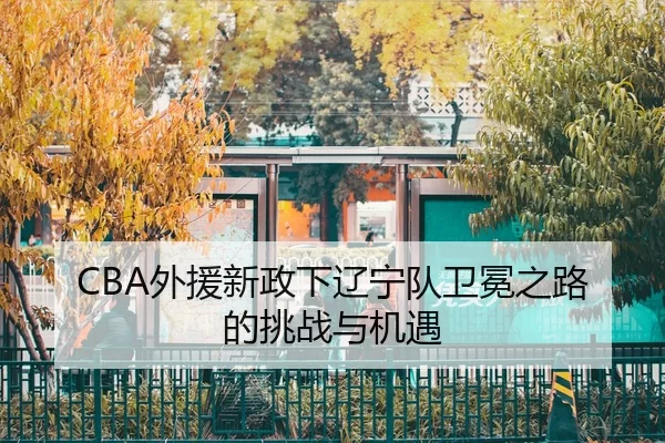 wai-yuan-xin-zheng-xia-liao-ning-dui-wei-mian-zhi-lu-de-tiao-zhan-yu-ji-yu-2-269.jpg