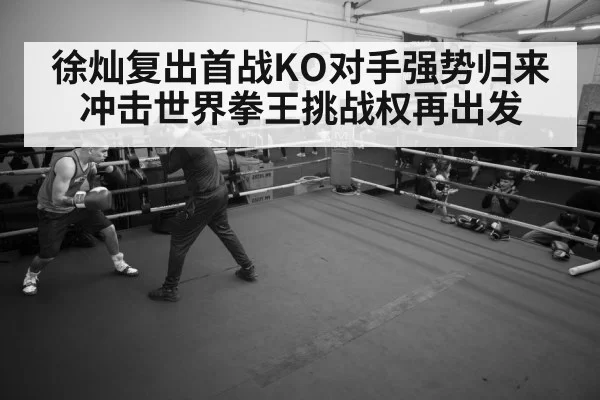 boxer training gym
