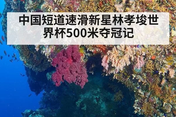 中国短道速滑新星林孝埈世界杯500米夺冠记